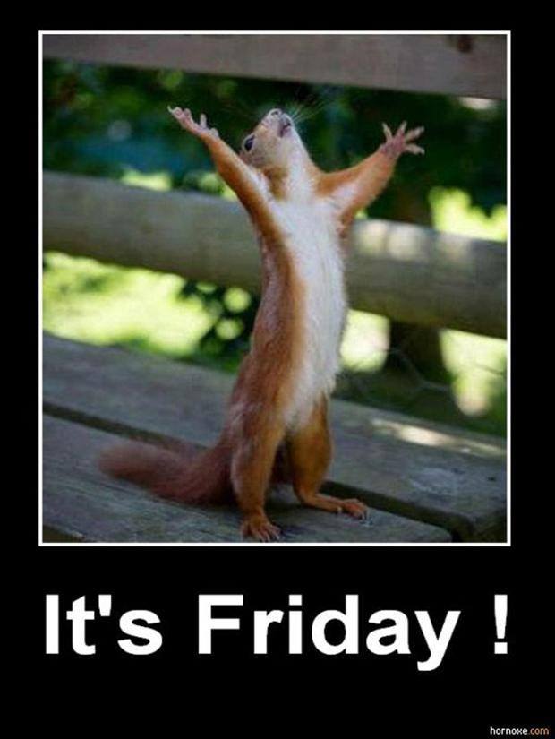 Image result for thank god its friday images