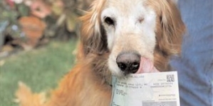 Man Reimbursed Money Chowed Down By His Dog