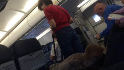 Plane had to made emergency landing because of a dog