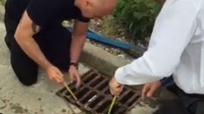 Salesman is being called ‘hero’ after he saved 11 ducklings stuck in a drain