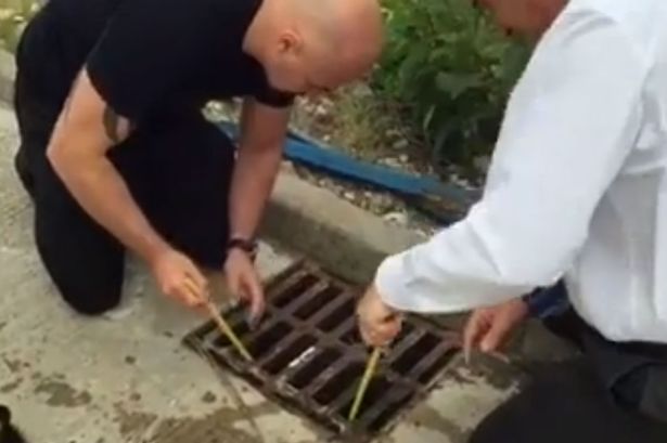 Salesman is being called ‘hero’ after he saved 11 ducklings stuck in a drain