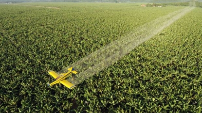 WHO agency says insecticides lindane and DDT linked to cancer