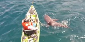 Shark pulls Florida fisherman from kayak | WATE 6 On Your Side
