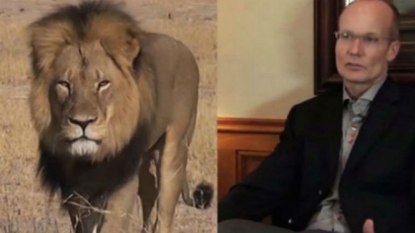 WH petition to extradite lion killer at mark