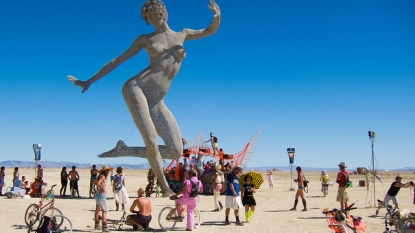 Nevada Burning Man Festival Bugging Out Over Insect Swarms