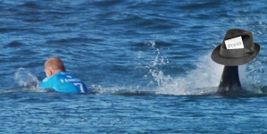 Surfer fights off shark on Australian east coast