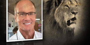 Zimbabwe wants Walter Palmer extradited in killing of Cecil the lion