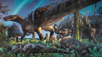 New species of dinosaur discovered in Alaska