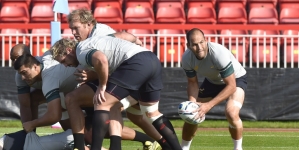 Rugby World Cup: Cowan ready to rise to Springbok challenge for Scotland
